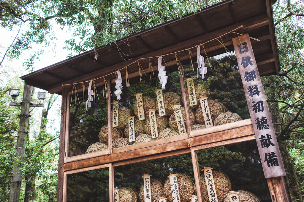 日本京都|鴨川|海外婚紗|櫻花季|下鴨神社